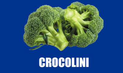 Crocolini