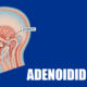 Adenoidid